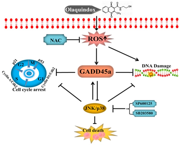 Figure 13