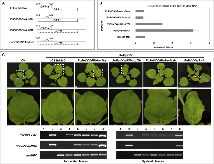 FIGURE 3