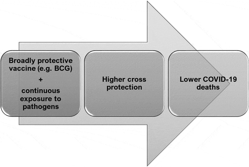 Figure 9.