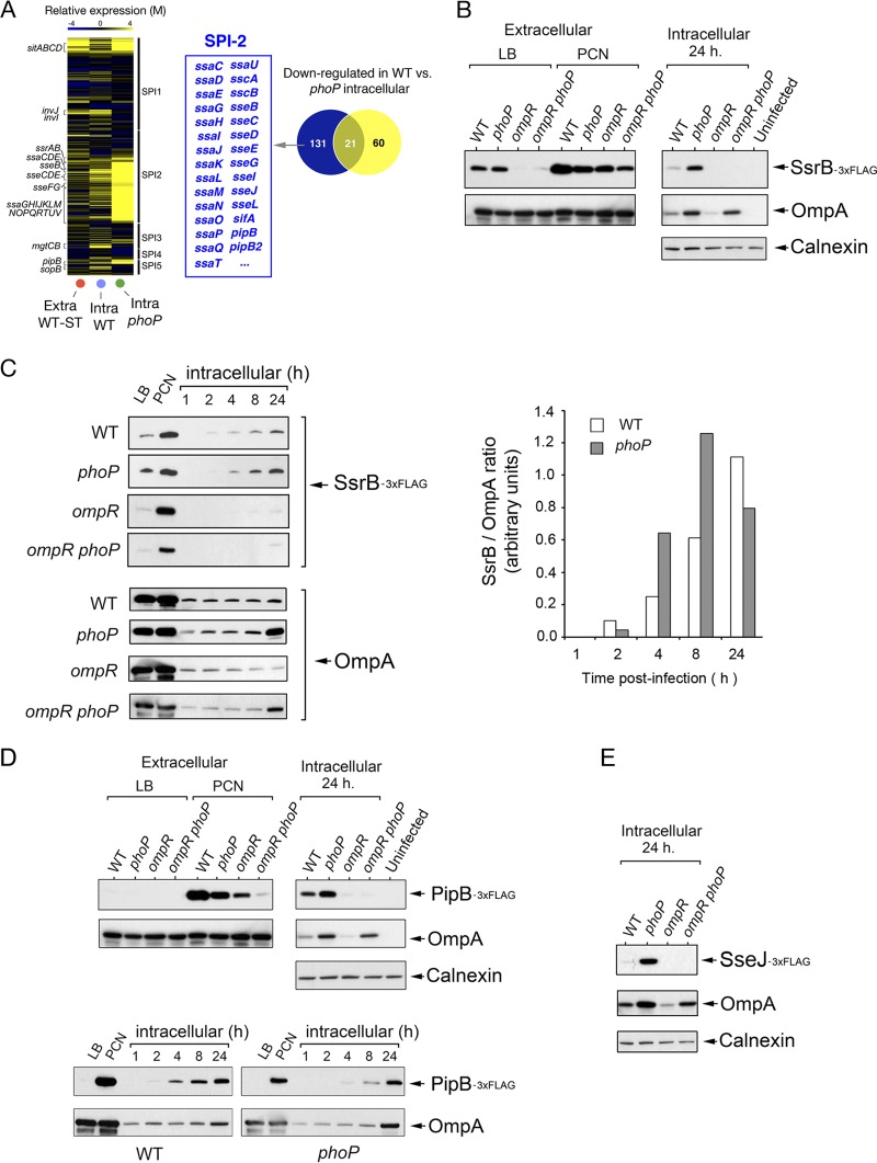 FIG 1