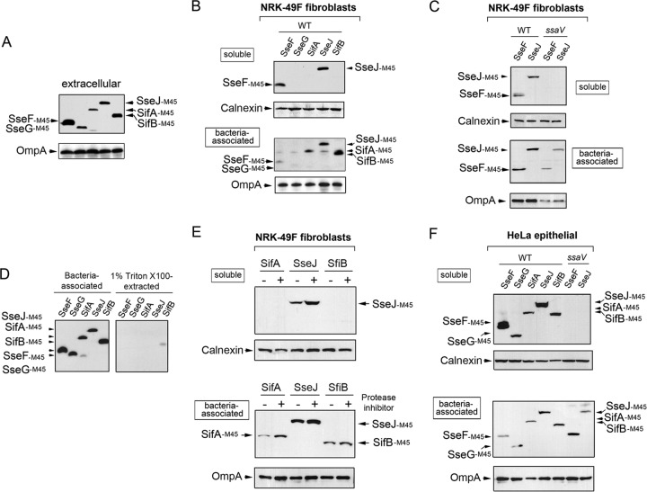 FIG 6