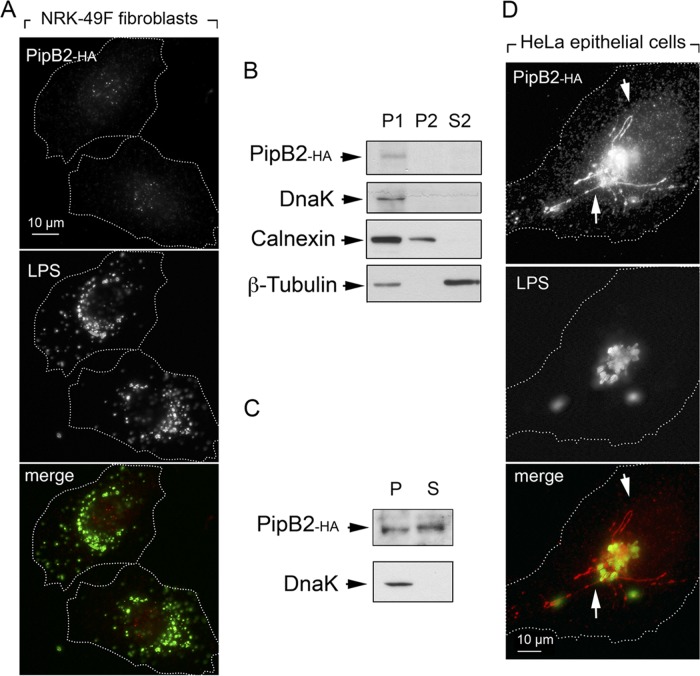 FIG 5