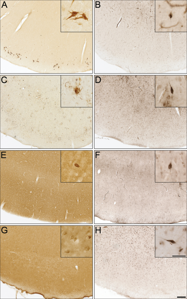 Fig.5