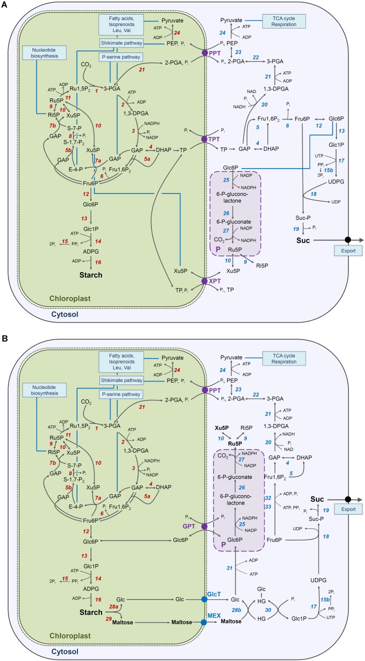 FIGURE 9