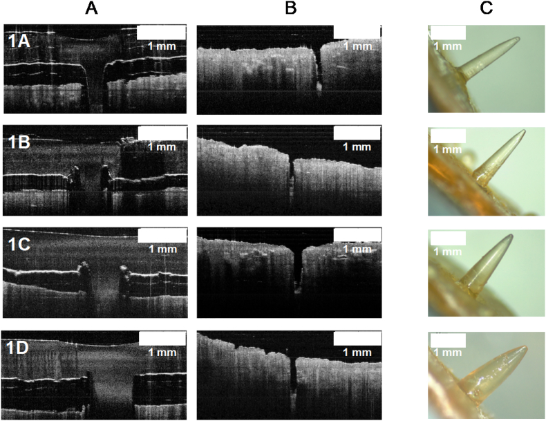 Fig. 8