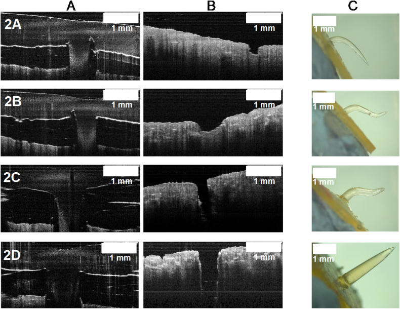 Fig. 10