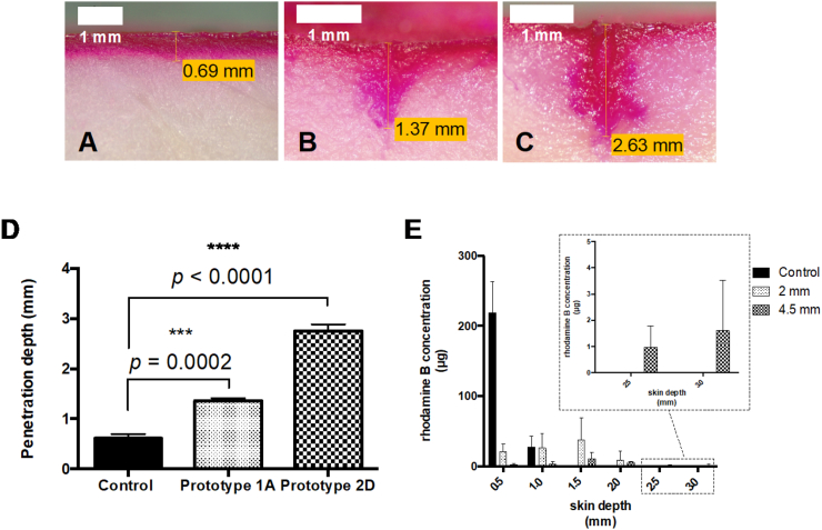 Fig. 12