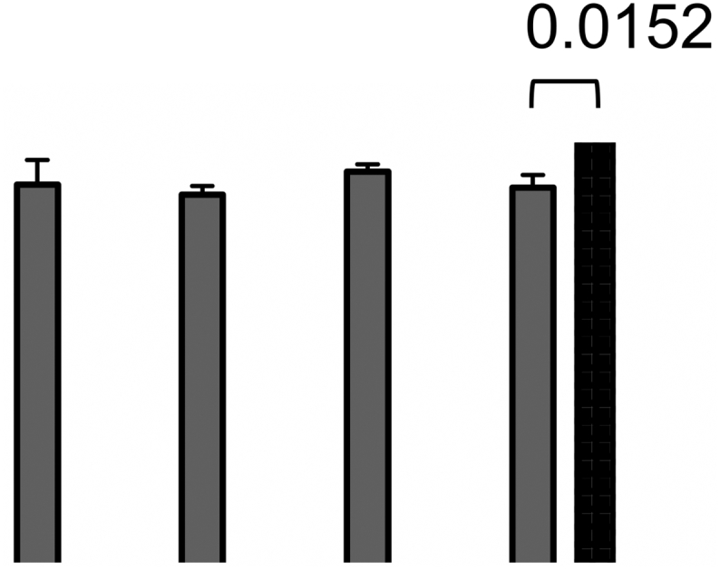 Fig. 9