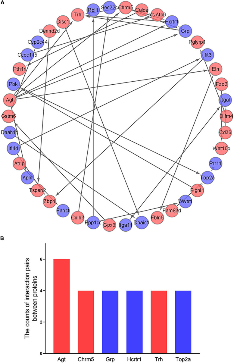 FIGURE 6