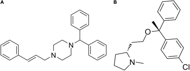 FIGURE 10