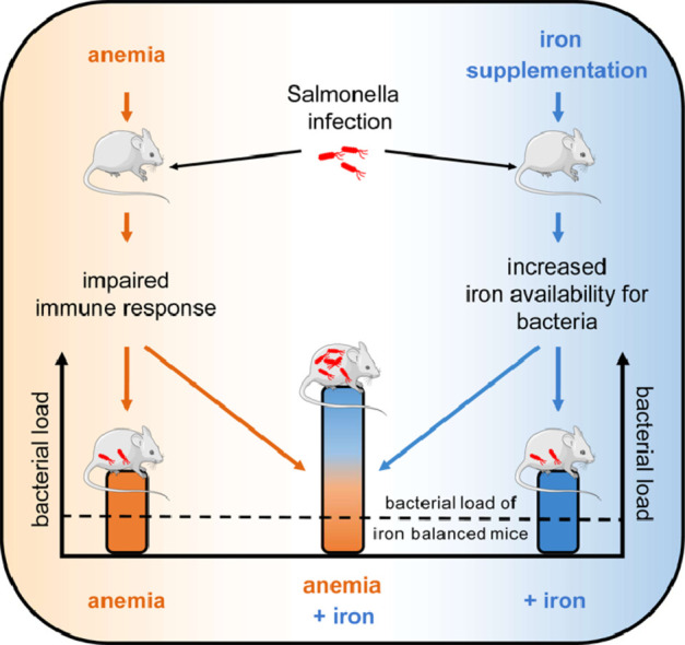 Image, graphical abstract