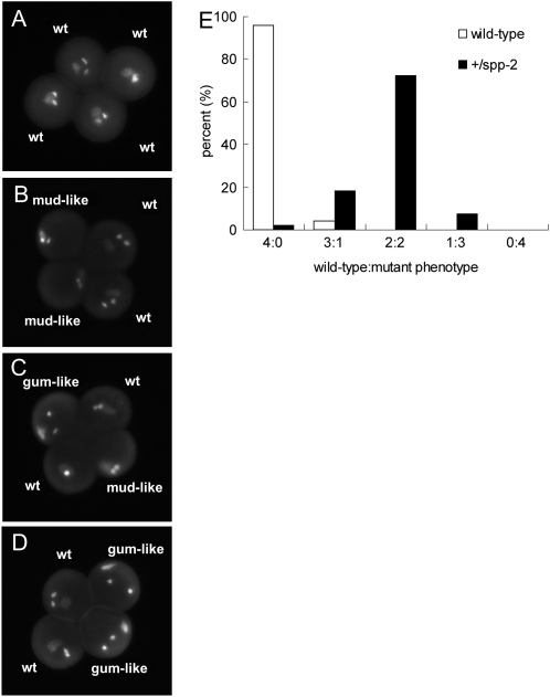 Figure 9.