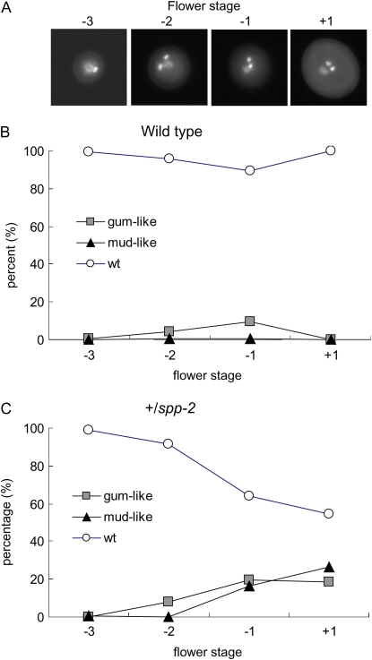 Figure 10.