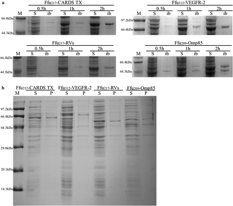 Fig. 4