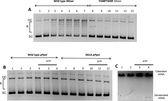 Figure 6.