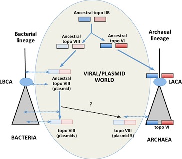 Figure 7.