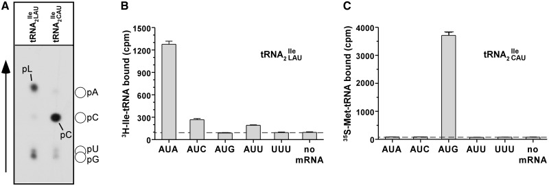 Figure 4.