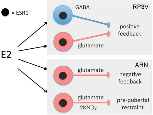 Figure 7.