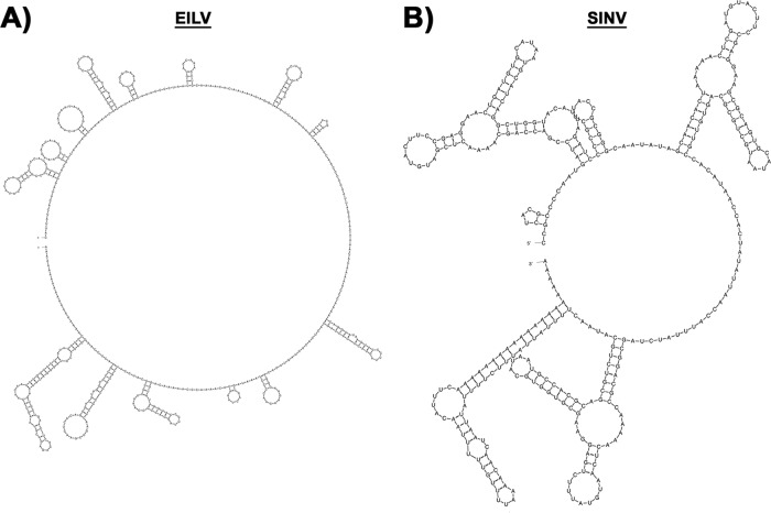 FIG 8