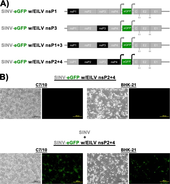 FIG 10