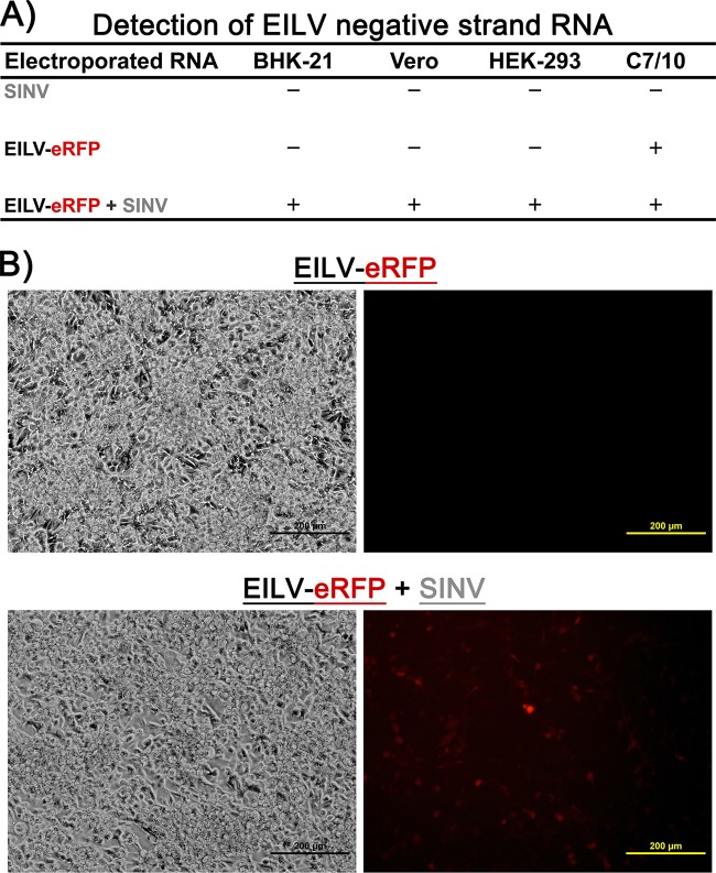 FIG 11