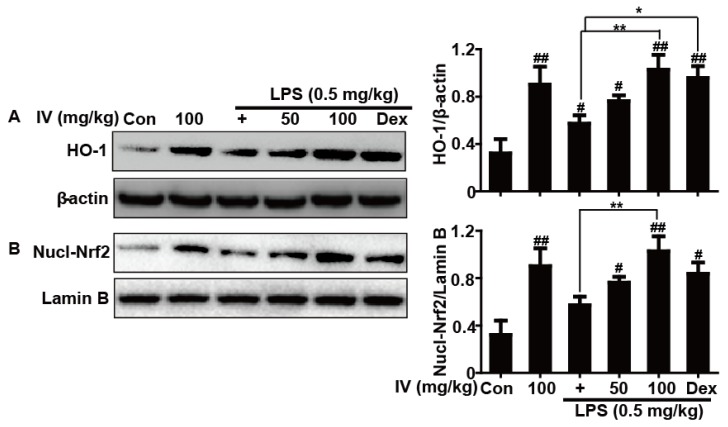 Fig 10