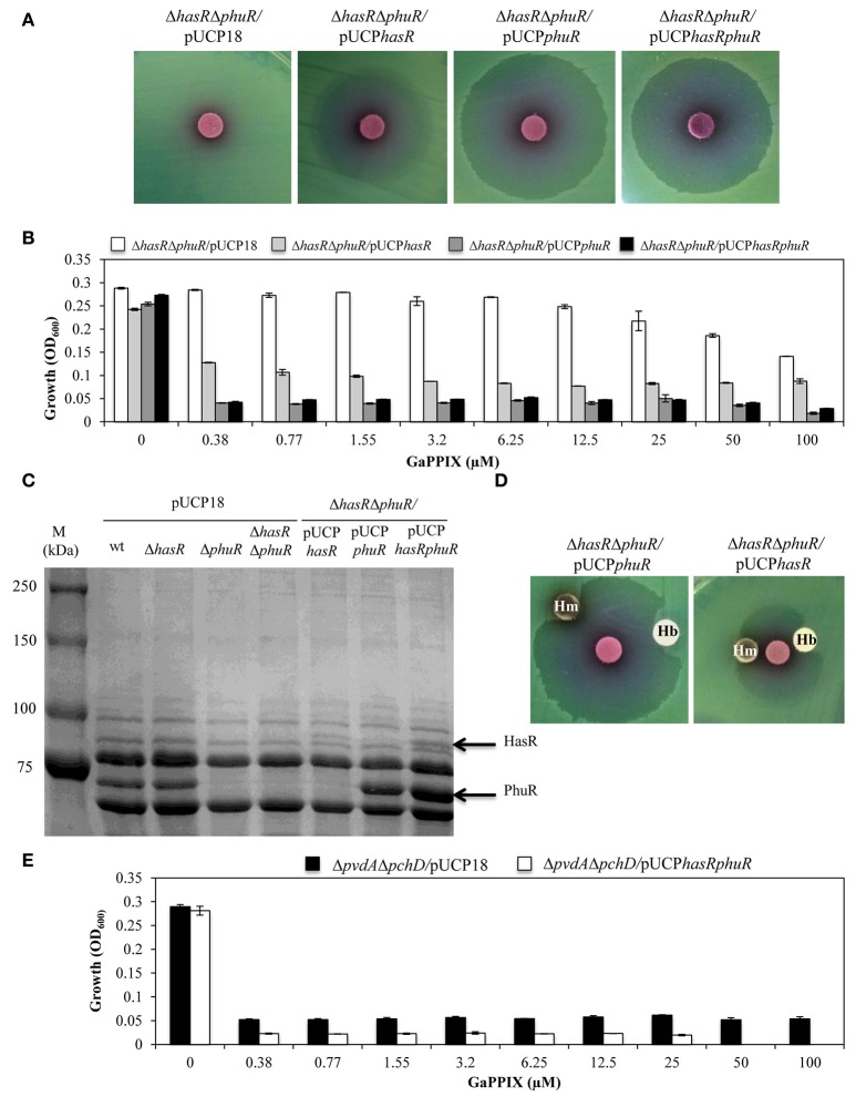 Figure 5