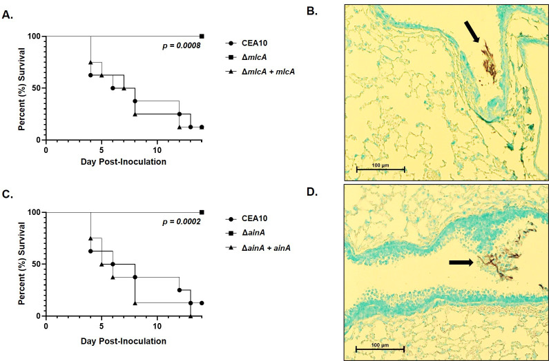 Fig 12