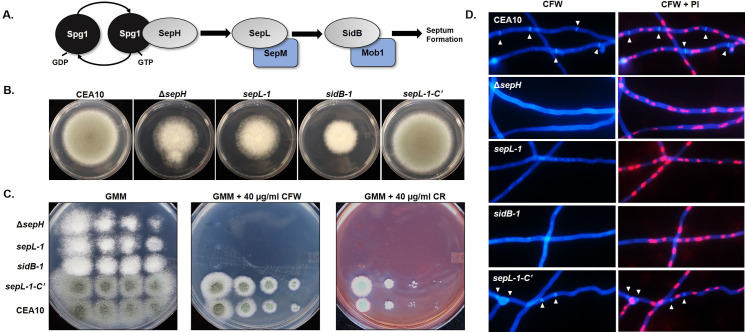 Fig 4