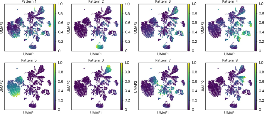 Fig. 7 |