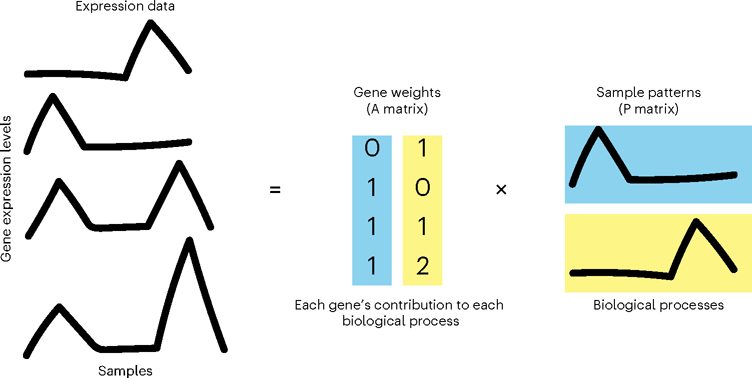 Fig. 1 |