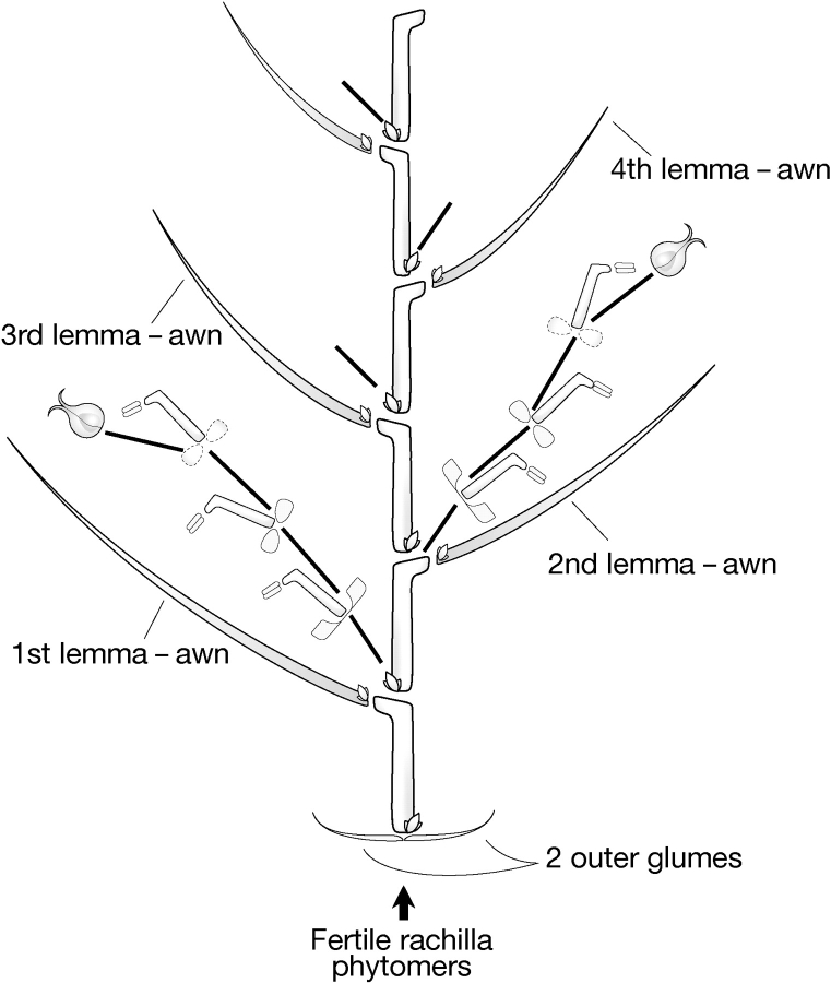 Fig. 10.