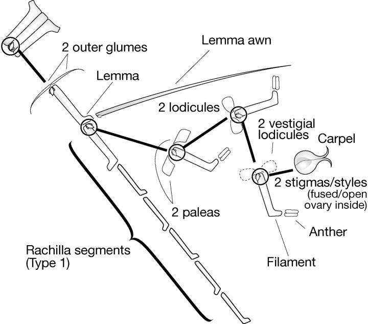 Fig. 8.