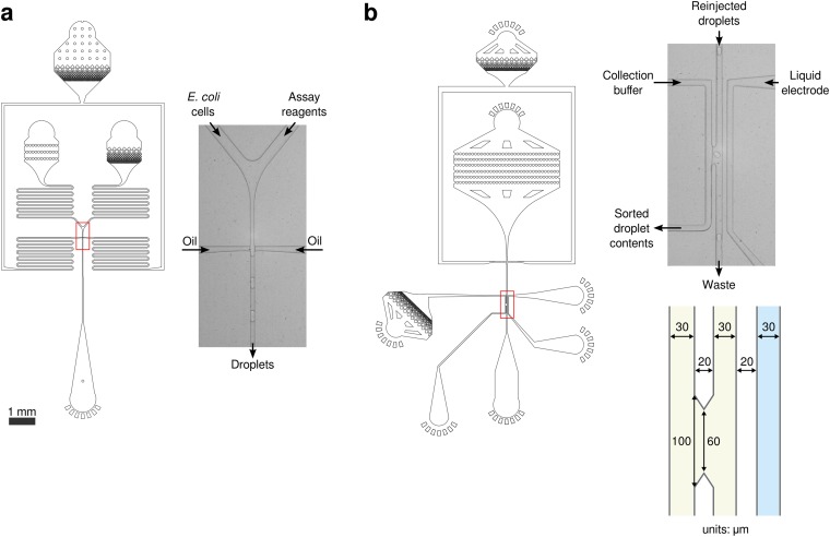 Fig. S9.