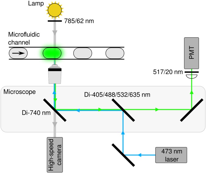 Fig. S10.