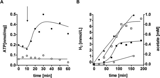 FIG 6