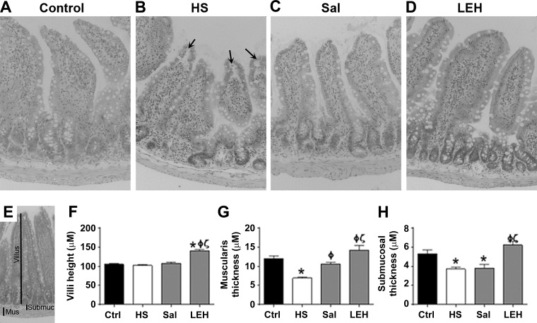 Fig. 9.