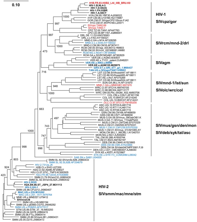 FIGURE 2