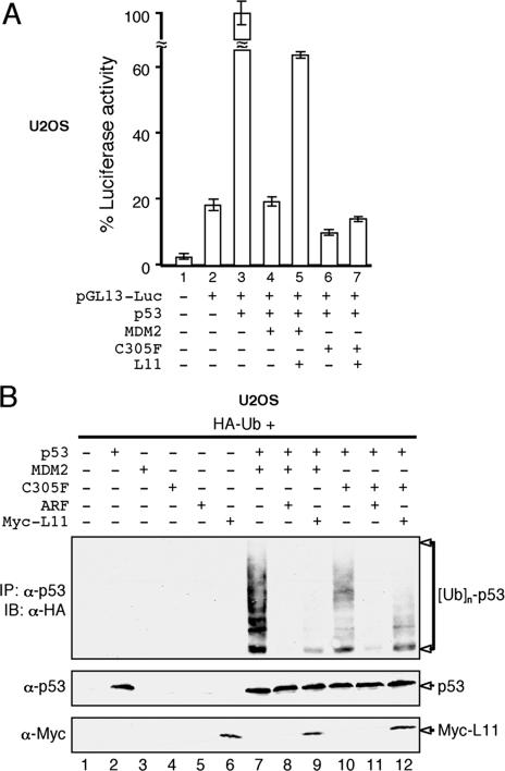 FIG. 7.