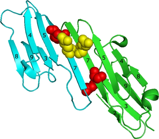 Fig. 10