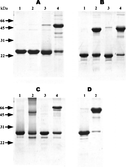 Fig. 6