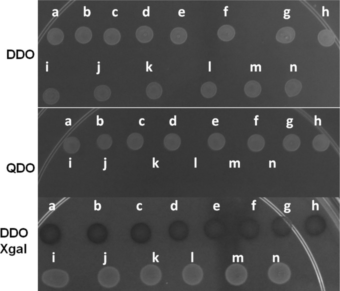 FIG 1