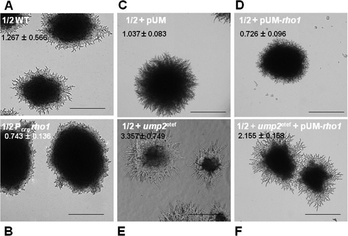 FIG 4