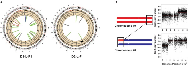 Fig 2