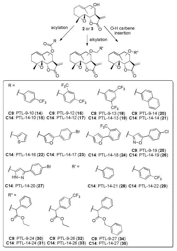 Scheme 2