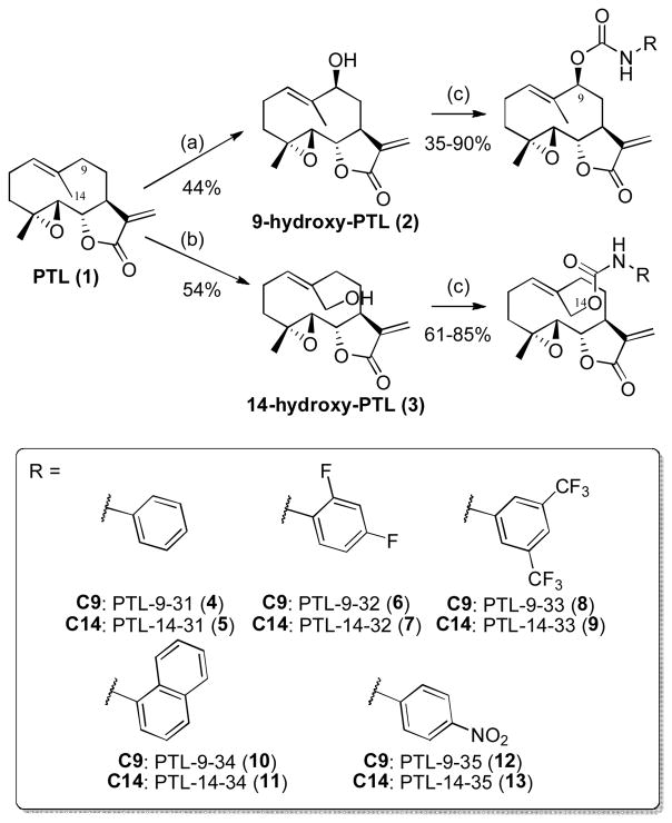 Scheme 1