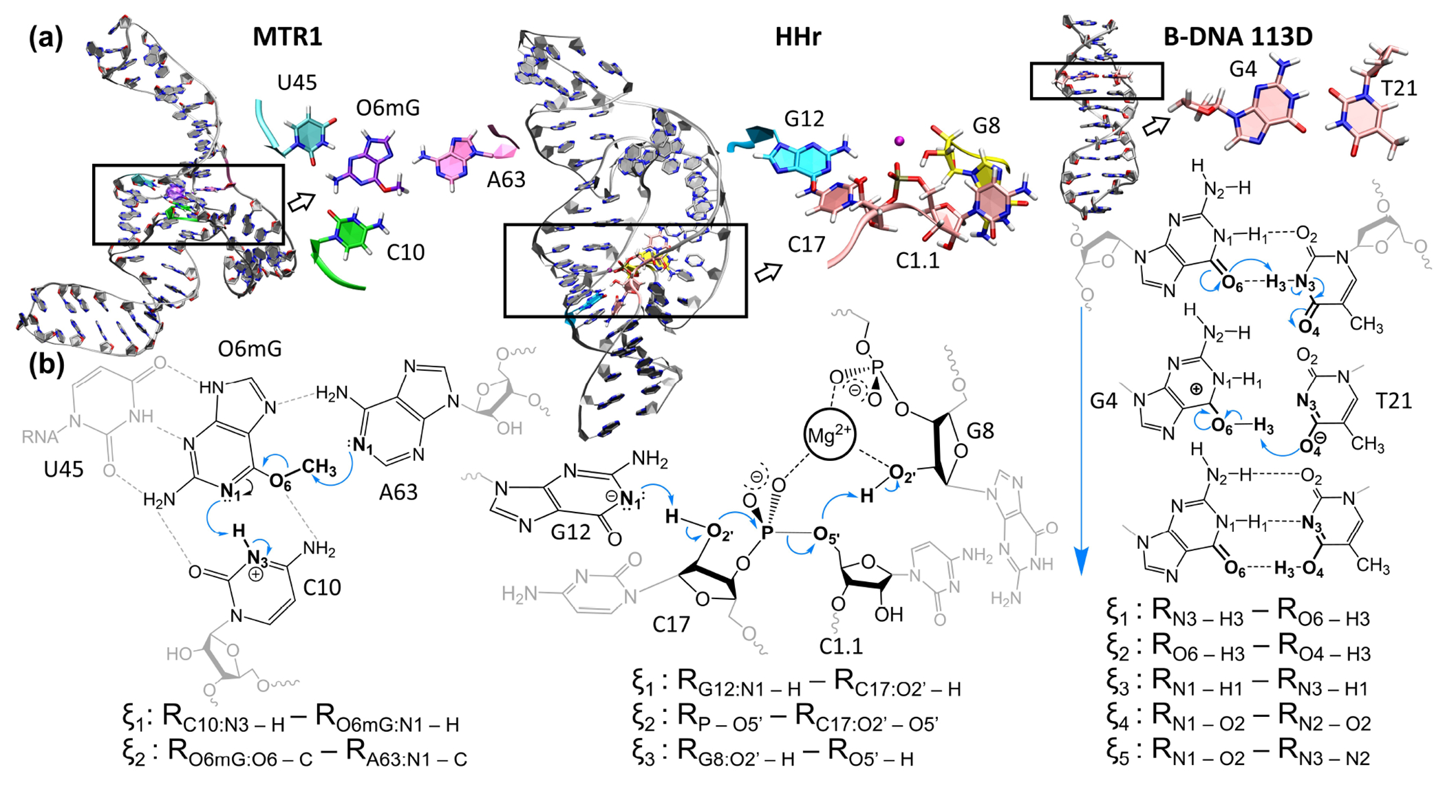 Figure 1: