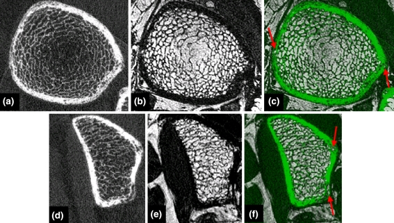 FIGURE 2