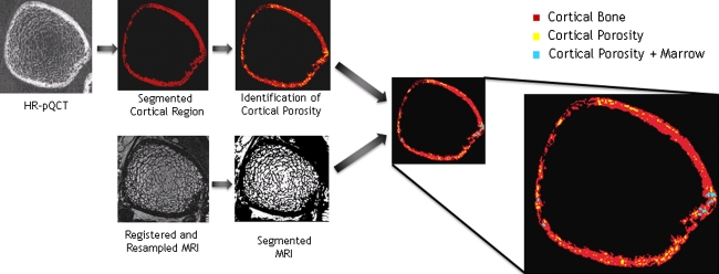 FIGURE 1