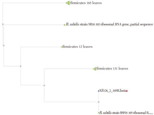 Figure 2.